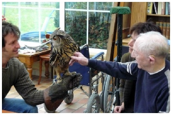 Persoonlijk contact met de roofvogels.