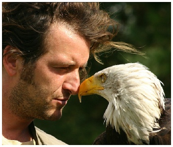 valken, valkenshow, valkenier, valkerij, vogelshow, roofvogelshow, roofvogelshows, topvogel, roofvogeldemonstratie, roofvogeldemonstraties, vogel, roofvogel, roofvogels, gier, arend ,uil, buizerd, havik, educatie, presentatie, verjaardag, feest, bruiloft, receptie, school, klas, kinderen, kind, recreatie, vliegen, natuur